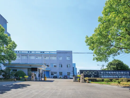 Blühender professioneller Relaishersteller Elgc Marke 40A 1600MW Kfz-Leiterplattenrelais